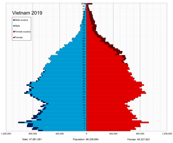 Vietnam population pyramid in 2019